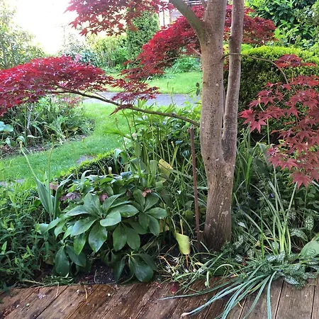 Sonnige Idylle Oldenburg in Holstein