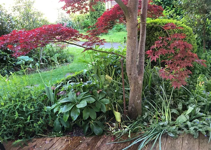 Sonnige Idylle Oldenburg in Holstein